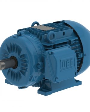 00718ET3HAL132M-W22 WEG AC Motor