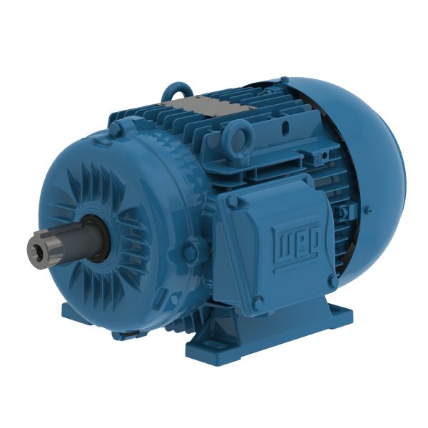 00518ET3YAL132S-W22 WEG AC Motor