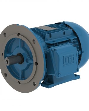 00156ET3WAL90SFF-W22 WEG AC Motor