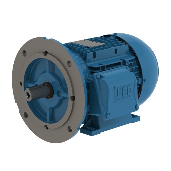 00318ET3WAL100LFF-W2 WEG AC Motor