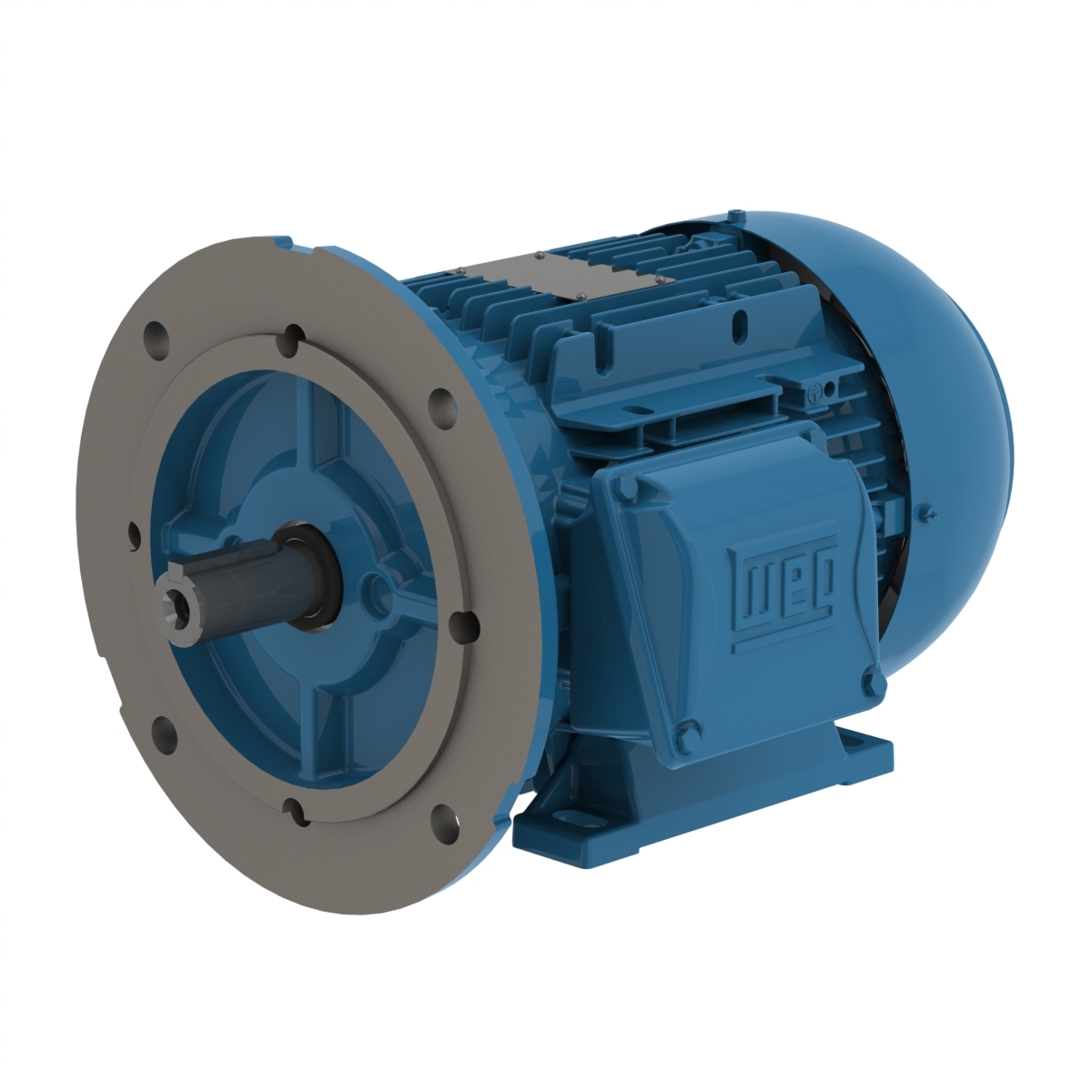 00318ET3WAL100LFF-W2 WEG AC Motor