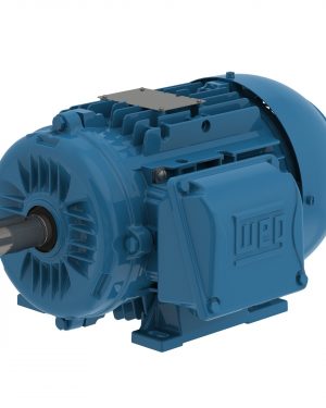 00156ET3EAL90S-W22 WEG AC Motor