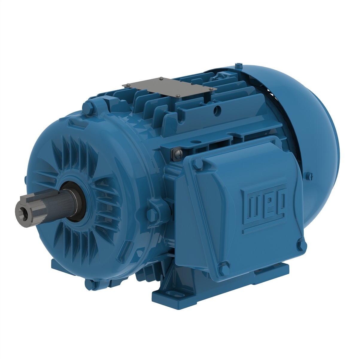 00336ET3WAL100L-W22 WEG AC Motor