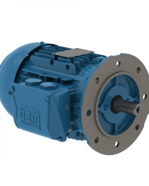 00158ET3WALR90LFF-W2 WEG AC Motor