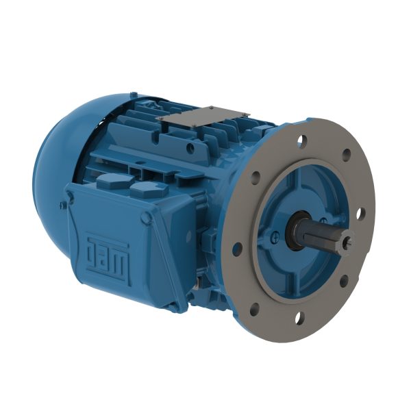 00218ET3WALR100LFF-W WEG AC Motor