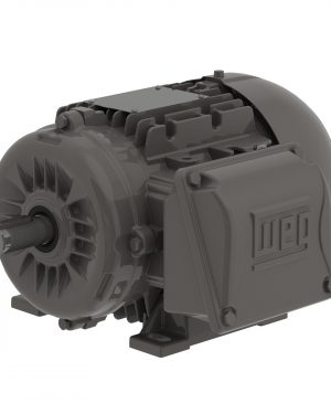 .5509EP3EAL90L-W22 WEG AC Motor