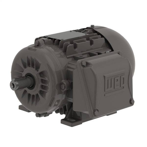 .5509EP3EAL90L-W22 WEG AC Motor