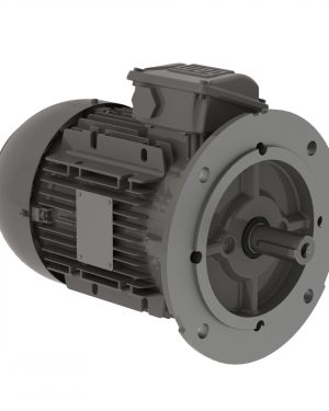 .1818EP3EALR63FF-W22 WEG AC Motor