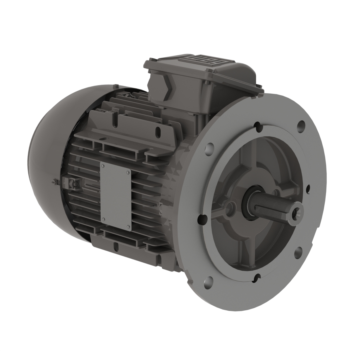 .1818EP3EALR63FF-W22 WEG AC Motor