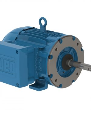 13760188 WEG AC Motor