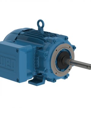 00518XT3E184JP WEG AC Motor