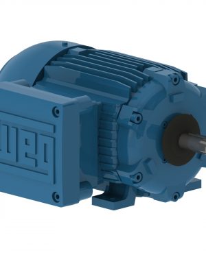 00218XT3H145T WEG AC Motor