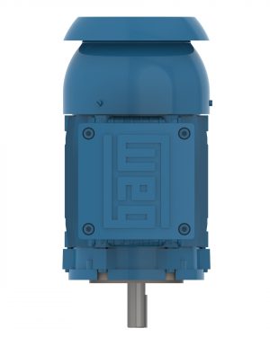 12823466 WEG AC Motor