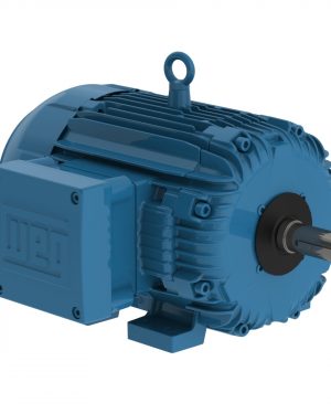 00512XT3H215T WEG AC Motor