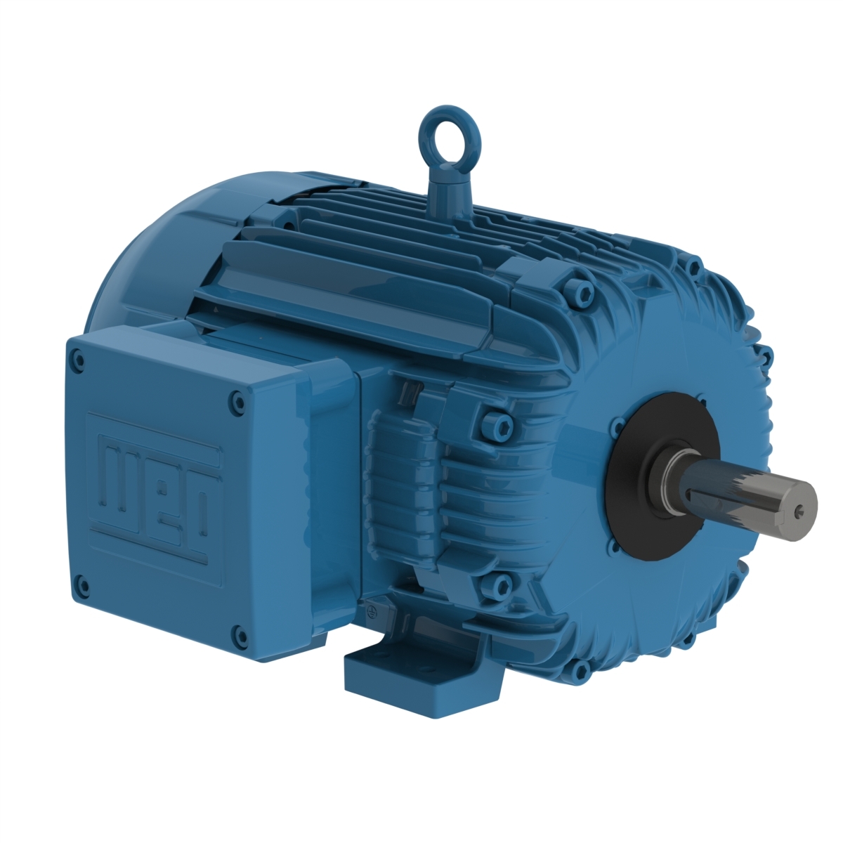 00512XT3H215T WEG AC Motor