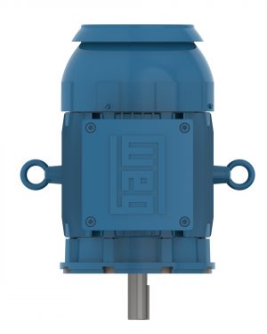 12823583 WEG AC Motor