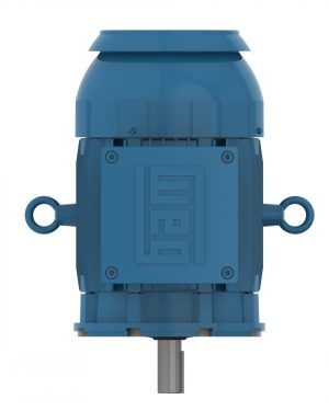 00718XT3ER213TC WEG AC Motor