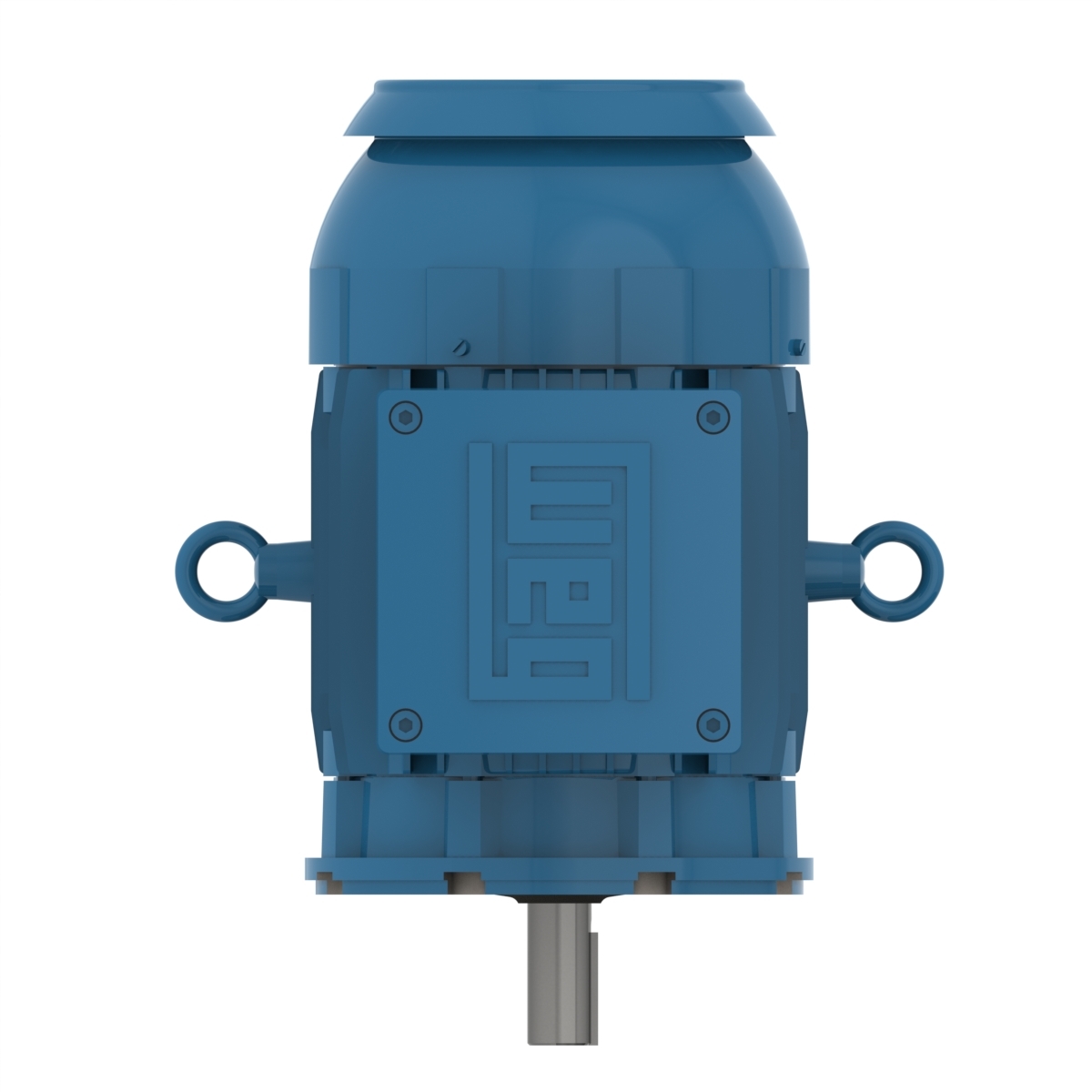 00718XT3ER213TC WEG AC Motor