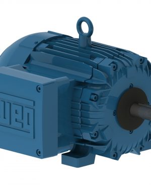 00512XT3E215T WEG AC Motor