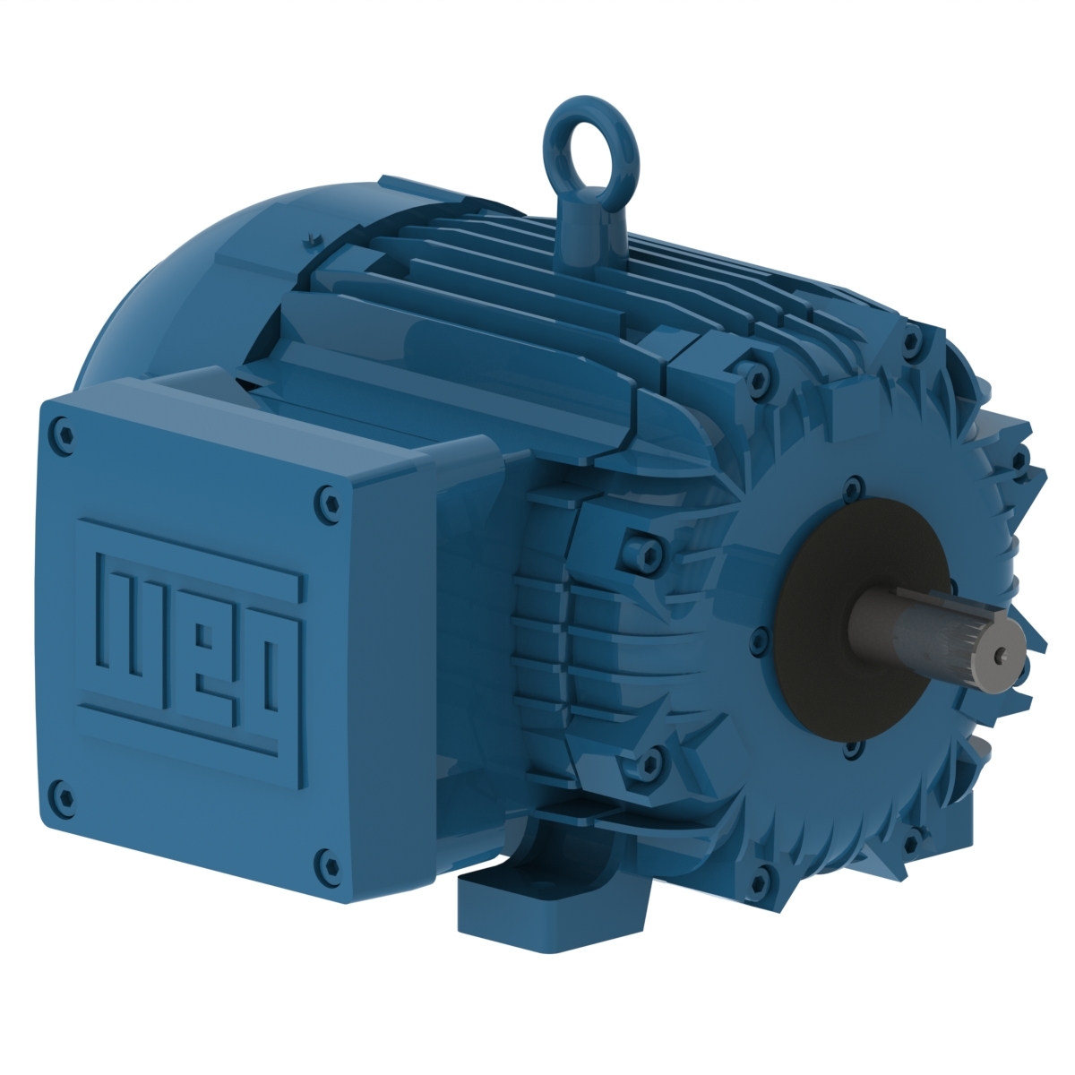 00512XT3E215T WEG AC Motor