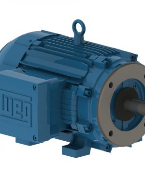 12408340 WEG AC Motor