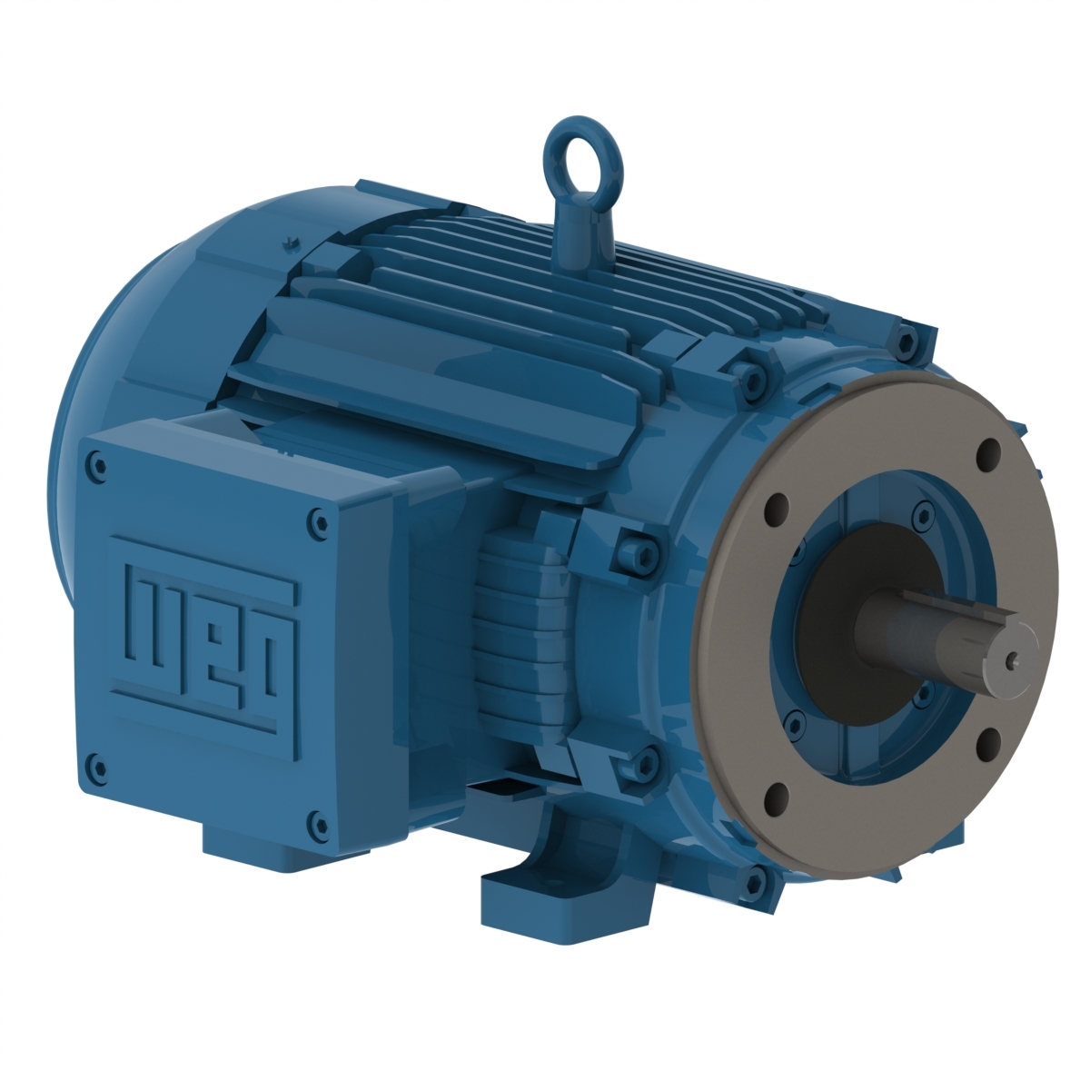 12408340 WEG AC Motor