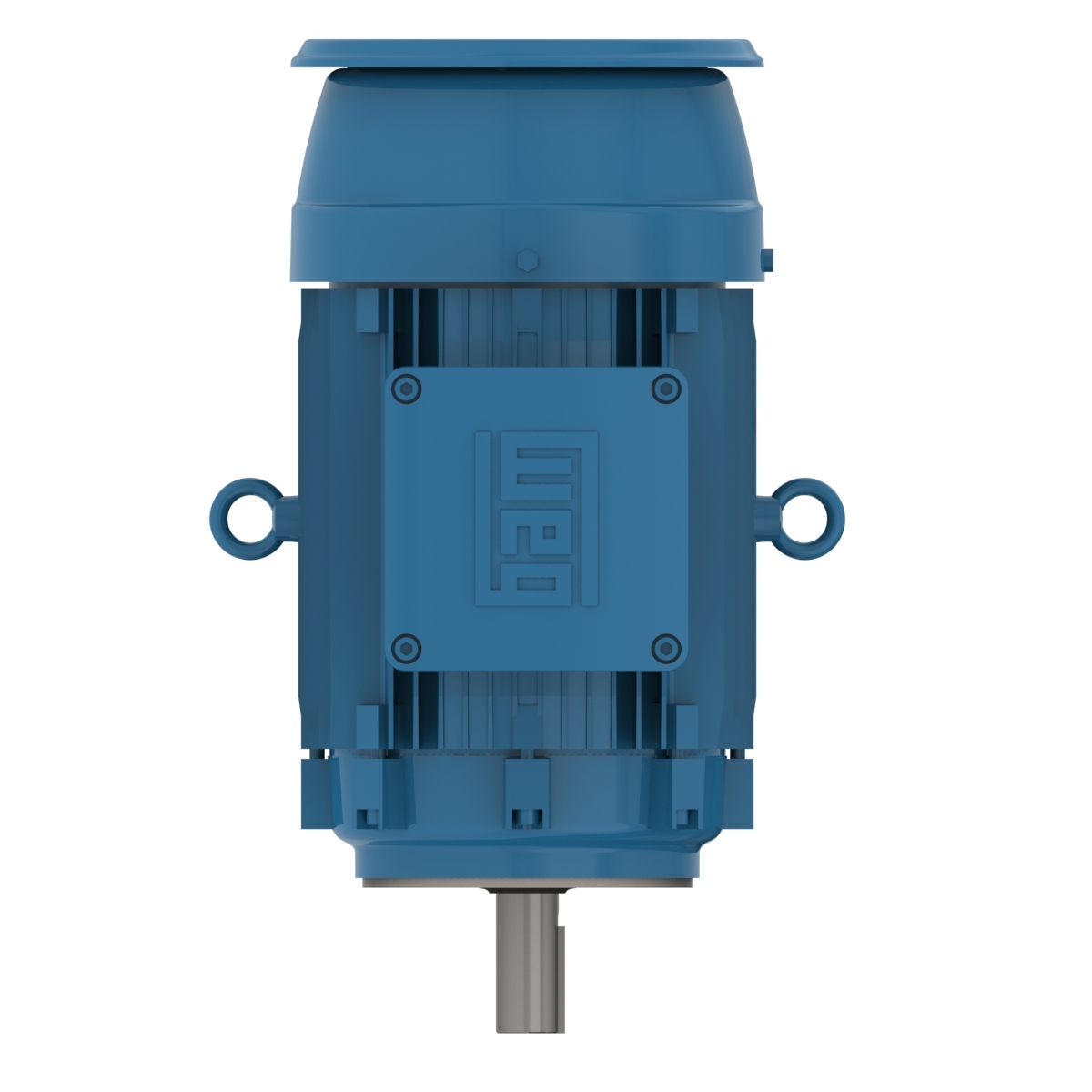 03018XT3ER286TC WEG AC Motor