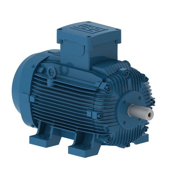 E05518XP3YAX250SMF3 WEG AC Motor