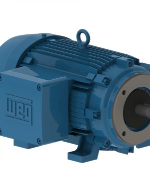 02018XT3E256TC WEG AC Motor