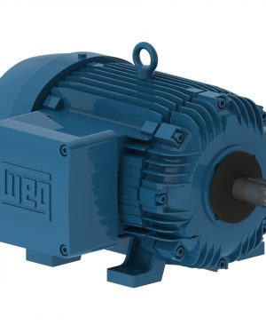 00712XT3E254T WEG AC Motor