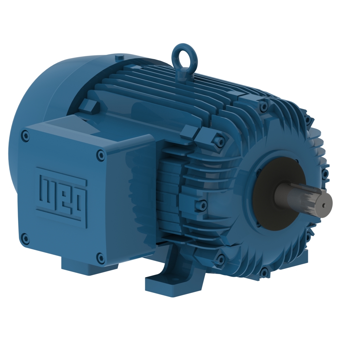 00712XT3H254T WEG AC Motor