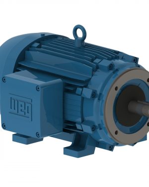 05018XT3H326TC WEG AC Motor