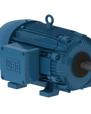 03036XT3H286TS WEG AC Motor