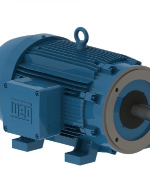 05018XT3E326TC WEG AC Motor