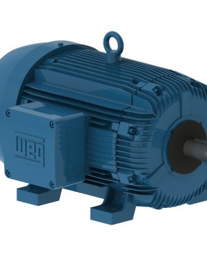 05018XT3H326T WEG AC Motor