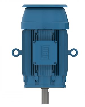 05018XT3ER326TC WEG AC Motor