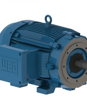 07518XT3E365TC WEG AC Motor