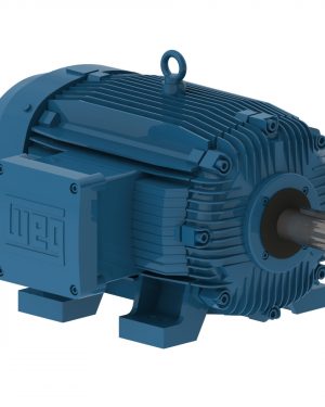 07536XT3E365TS WEG AC Motor