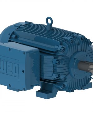 11124467 WEG AC Motor