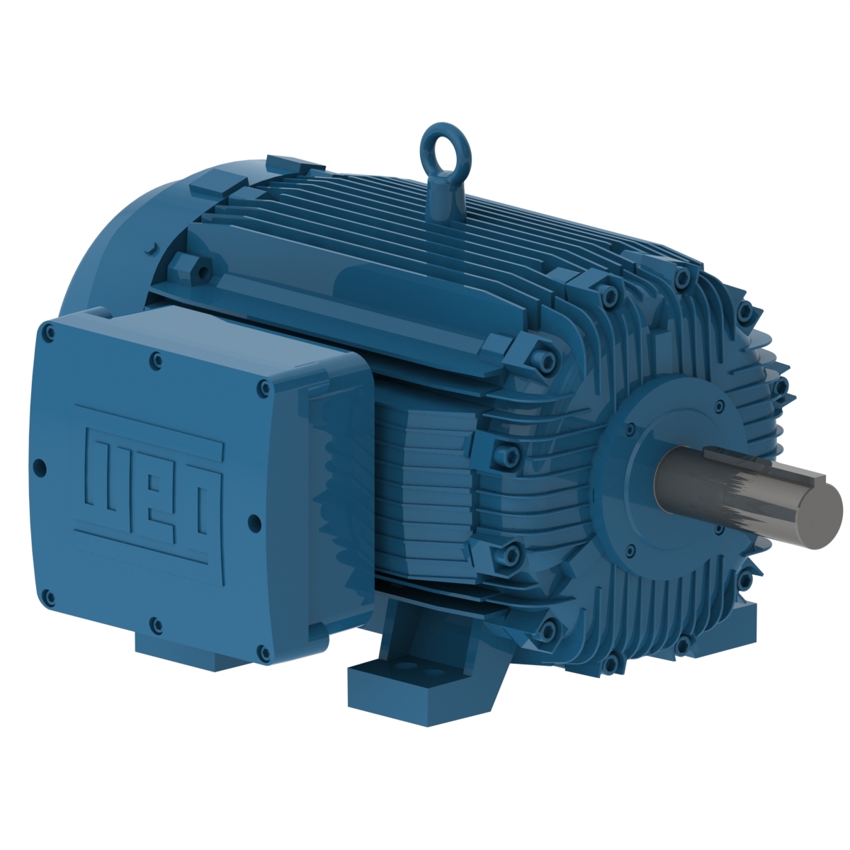 11124467 WEG AC Motor
