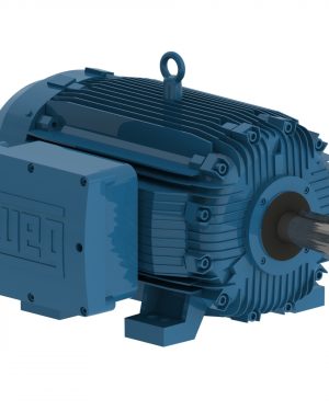 07509XT3E444T WEG AC Motor