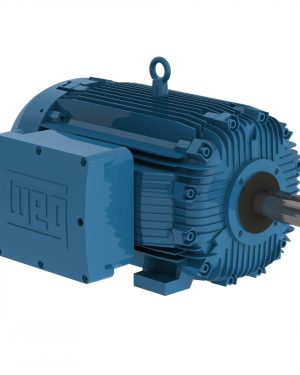 30012XT3G449T WEG AC Motor