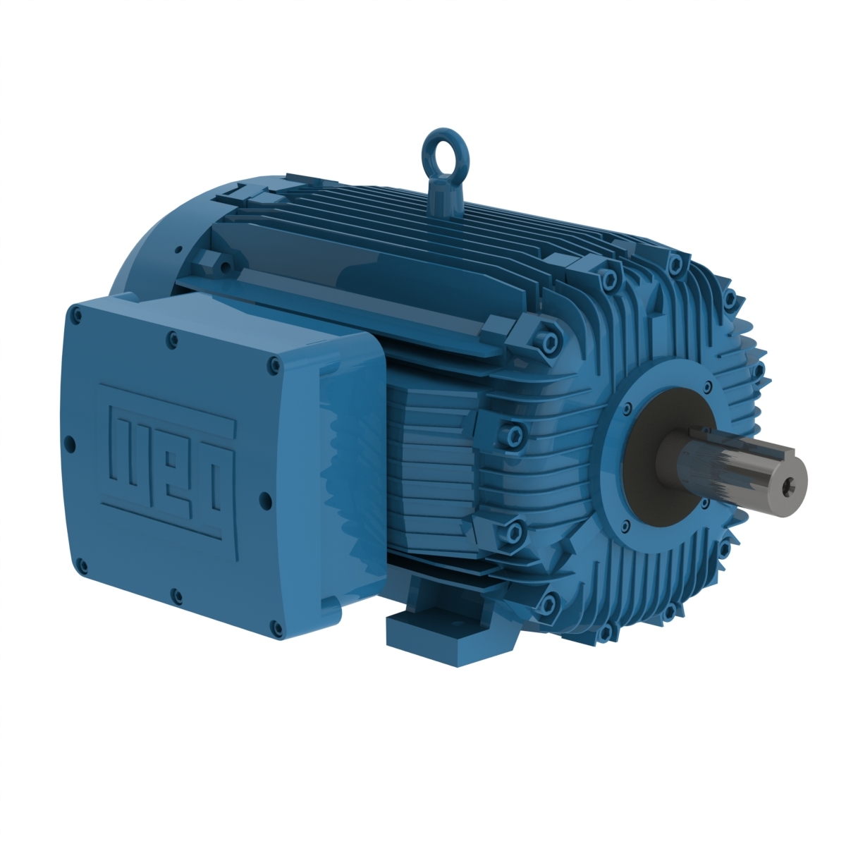 30012XT3G449T WEG AC Motor