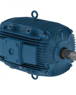 04012EP3EPM364/5Y WEG AC Motor