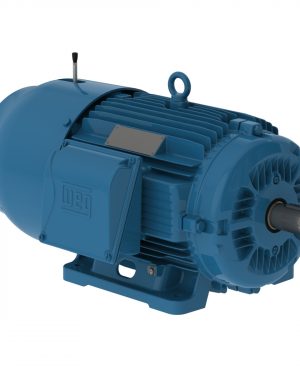 02036ET3EBM256T-W22 WEG AC Motor