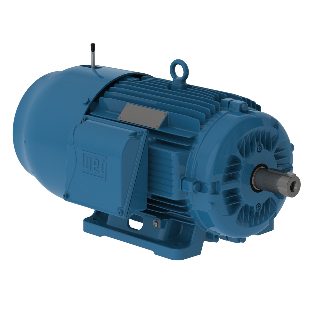 02036ET3EBM256T-W22 WEG AC Motor