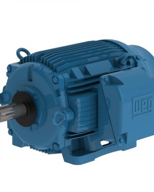 03026EP3QCT364V-W22 WEG AC Motor