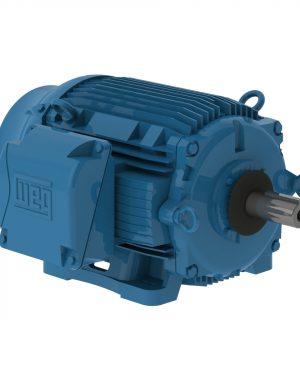 07518ET3ECT365TF1-W2 WEG AC Motor