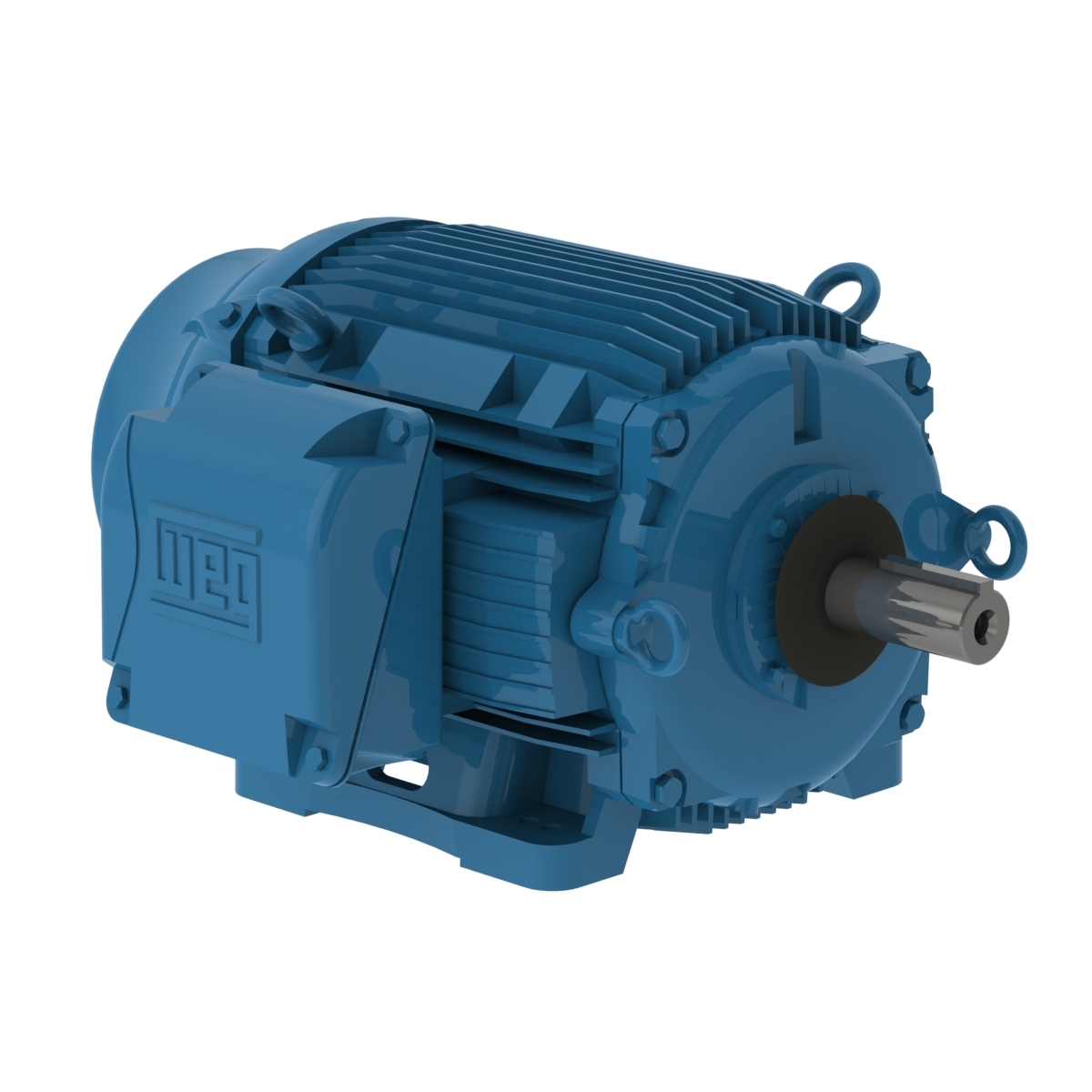 07518ET3ECT365TF1-W2 WEG AC Motor