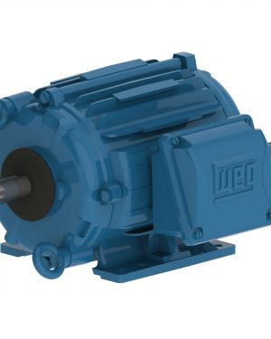 00218AT3PCT145T-W22 WEG AC Motor